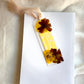 “When You Shine” Inspiration Collection Bookmark